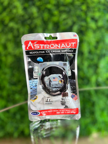 Astronaut Neapolitan Ice Cream Sandwich Space Food